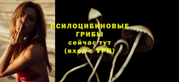 мяу мяу кристалл Верея