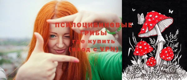 индика Верхнеуральск