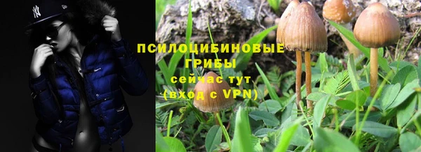 гидропоника Верхний Тагил