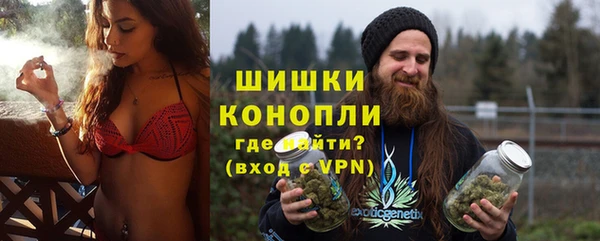 индика Верхнеуральск