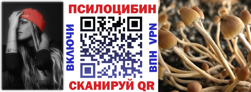 Купить закладки  Чкаловск  Галлюциногенные грибы Psilocybine cubensis 